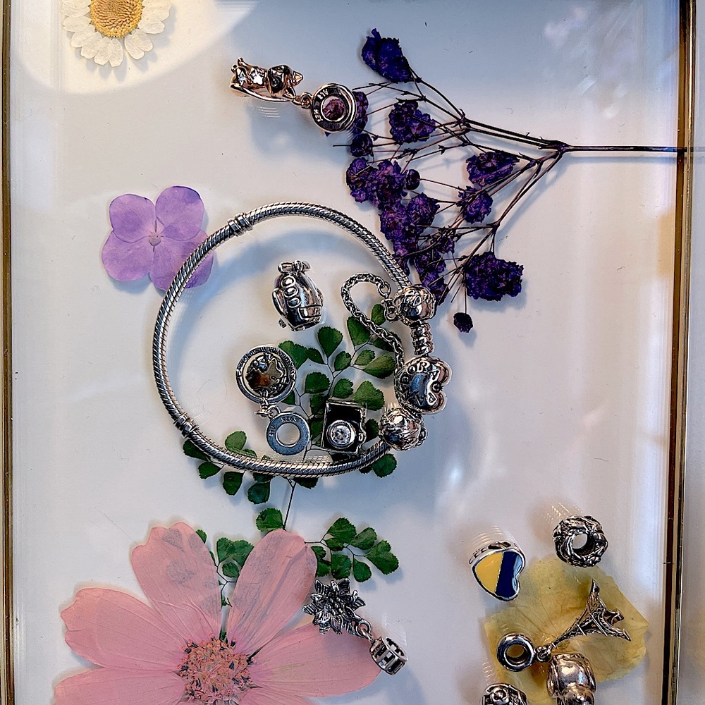 Pandora bracelet , safety chain and charms